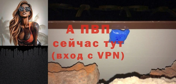 прущий лед Дмитриев