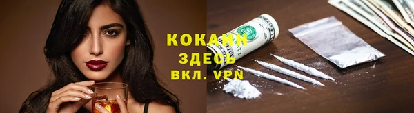 ALPHA PVP Елизово