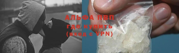 прущий лед Дмитриев