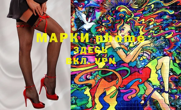 прущий лед Дмитриев